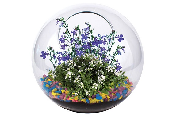 Mini Fairy Garden Glass Terrarium