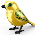 Digi Bird