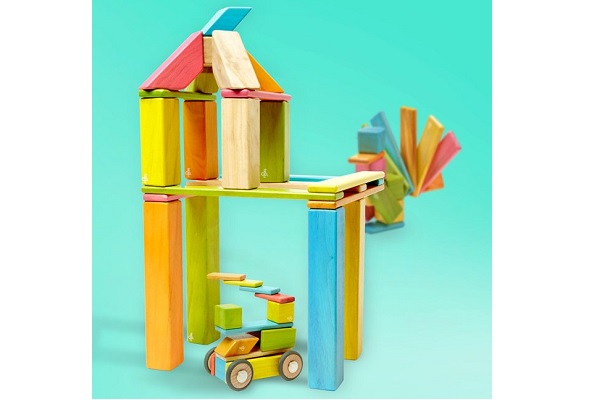Tegu Magnetic Wooden Blocks